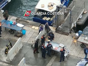 trapani-sequestrati-2-quintali-di-pescato-sulle-banchine-del-porto-peschereccio