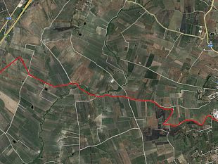 partanna-finanziamento-di-680-mila-euro-per-strada-rurale