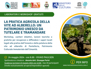 pantelleria-il-24-maggio-il-laboratorio-pratica-agricola-della-vite-ad-alberello