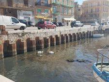 il-mazaro-non-mormora-piu