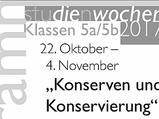 favignana-zurigo-quarantasei-studenti-sull-isola-per-un-laboratorio-di-scultura-con-la-pietra-di-favignana