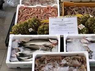 trapani-sequestrati-85-kg-di-pesce-a-venditori-abusivi