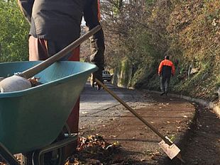 comunienti-e-sistema-vogliono-la-stabilizzazione-dei-forestali-musumeci-e-allora