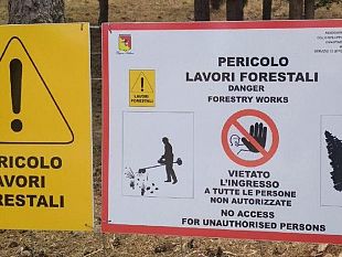 un-futuro-di-sogni-infranti-per-gli-operai-forestali-siciliani