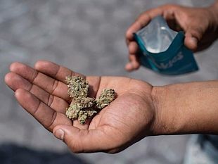 mazara/pacco-di-droga-inviato-da-carini-a-mazara-la-scoperta-della-gdf