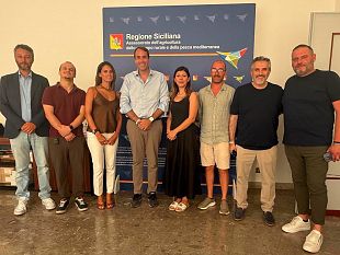 mango-di-balestrate-verso-un-consorzio-tra-i-produttori