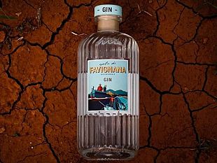 trapani/sul-mercato-arriva-il-gin-prodotto-a-favignana