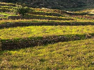 lente-parco-lancia-pantelleria-terrazzamenti-colti