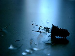 lelzeviro-di-bonagiuso-elogio-della-fragilita