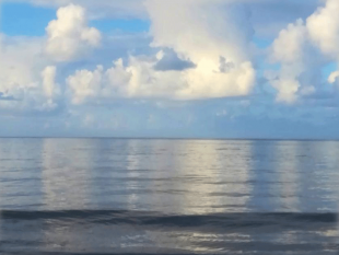 ultime-della-sera-war-is-stupid