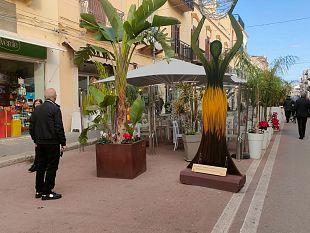 mazara-la-dc-chiede-rimozione-divieto-di-sosta-nel-centro-storico-nellorario-apertura-scuole-fino-alle-ore-10