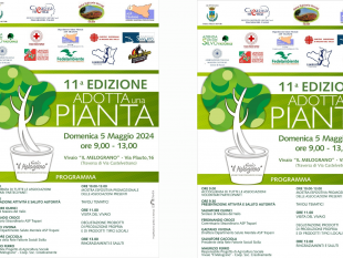 mazara-domenica-5-maggio-lundicesima-edizione-dellevento-adotta-una-pianta
