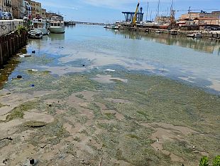 dragaggio-porto-canale-il-sindaco-quinci-annuncia-consegna-dei-lavori