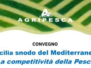 mazara-pesca-l11-luglio-workshop-organizzato-da-agripesca-sicilia-snodo-del-mediterraneo