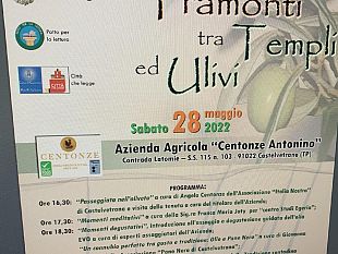 tramonti-tra-templi-ed-ulivi-sabato-presso-lazienda-centonze