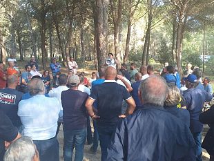castelvetrano/olivicultori-in-ginocchio-si-sono-radunati-oggi-stop-alla-raccolta-delle-olive