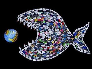 plastic-free-al-liceo-per-la-settimana-dello-studente-un-incontro-per-sensibilizzare-i-giovani-studenti-al-rispetto-dellambiente