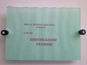 pd-mazarese-rinnovamento-o-individuazione-agenti-patogeni-forse