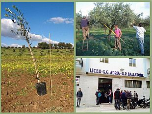 al-via-la-settimana-della-legalita-al-liceo-di-mazara-si-va-a-scuola-di-antimafia-lezioni-dibattiti-e-visite-guidate-per-imparare-a-combattere-cosa-nostra