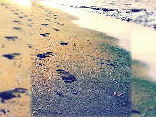 bisognerebbe-imparare-ad-usare-bene-le-parole