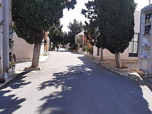 paceco-gatto-morto-al-cimitero-lallarme-del-sindaco-giuseppe-scarcella