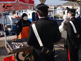 favignana-estate-tranquilla-controlli-ad-attivita-commerciali-multe-e-sequestri