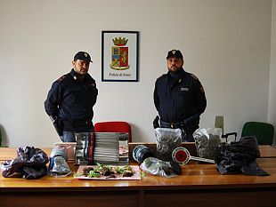 marsala-un-arresto-per-coltivazione-e-spaccio-di-marijuana