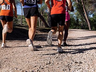 mazara-svolte-allic-g-grassa-le-competizioni-sportive-scolastiche-di-corsa-campestre