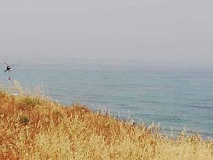 castelvetrano/video-elicottero-in-azione-per-spegnere-lincendio-a-marinella