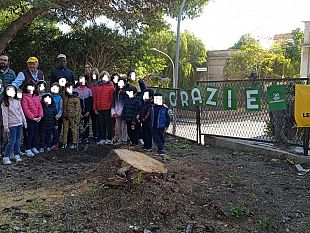 il-circolo-crimiso-legambiente-alla-festa-dellalbero-life-terra