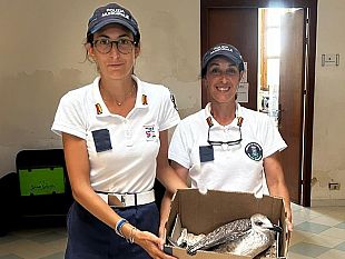 egadi-controlli-serrati-e-soccorso-in-mare-sanzionate-piu-di-40-imbarcazioni