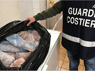 pantelleria-guardia-costiera-operazione-senza-traccia-6000-euro-di-multe