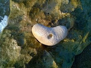 ultime-della-sera-se-il-mare-avesse-un-cuore-di-carne