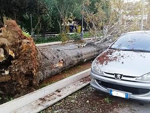 mazara-rientra-lemergenza-maltempo