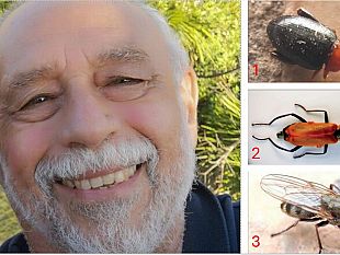 il-biologo-mazarese-angelo-ditta-di-nuovo-nel-sicilian-naturalistic-news-grazie-alla-scoperta-di-tre-nuovi-insetti