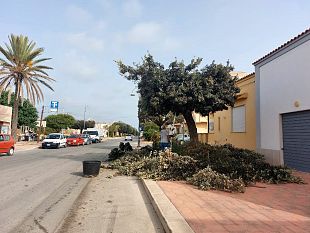 petrosino-al-via-gli-interventi-di-manutenzione-del-verde-e-pulizia-delle-scuole