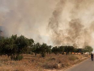 custonaci-incendio-in-contrada-rumena