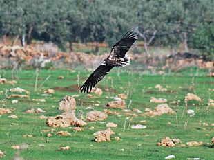 una-punta-di-sal-le-sciare-di-mazara
