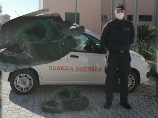 marsala/sequestrati-circa-300-esemplari-ricci-di-mare
