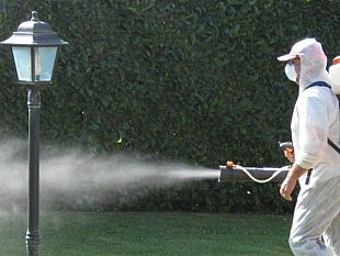 erice-da-domani-lavvio-del-servizio-di-disinfestazione-anti-zanzare-ed-altri-insetti-infestanti