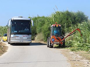 avviato-il-taglio-dei-canneti-sulla-litoranea-dello-stagnone-il-sindaco-alberto-di-girolamo-ci-sostituiamo-al-libero-consorzio-per-mettere-in-sicurezza-questa-zona-fra-le-piu-belle-al-mondo