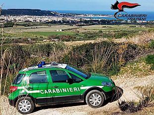 trapani/trapani-maneggio-abusivo-e-cavalli-non-in-regola-sanzioni-per-48-mila-euro