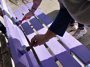 noi-odv-inaugurera-la-panchina-viola-contro-i-disturbi-del-comportamento-alimentare