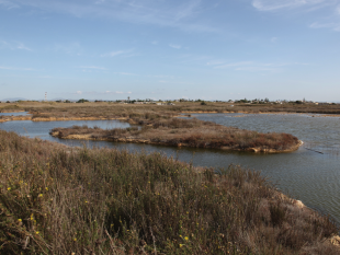 il-31-gennaio-tutti-a-capo-feto-per-la-giornata-mondiale-zone-umide-2016