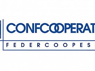 nino-accetta-federcoopesca-sicilia-il-decreto-sulla-piccola-pesca-appena-pubblicato-mortifica-il-ruolo-delle-associazioni