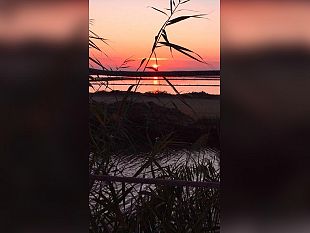 ultime-della-sera-cara-grazia