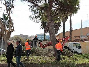 marsala-potatura-scerbatura-e-pulizia-del-villaggio-sappusi