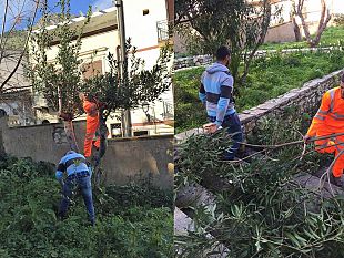 cittadini-con-disagio-economico-al-lavoro-per-la-pulizia-di-aree-verdi