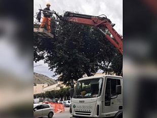 alcamo-cura-e-manutenzione-del-verde-pubblico