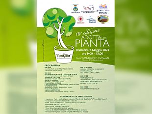 mazara-domenica-torna-liniziativa-ambientale-e-dinclusione-adotta-una-pianta